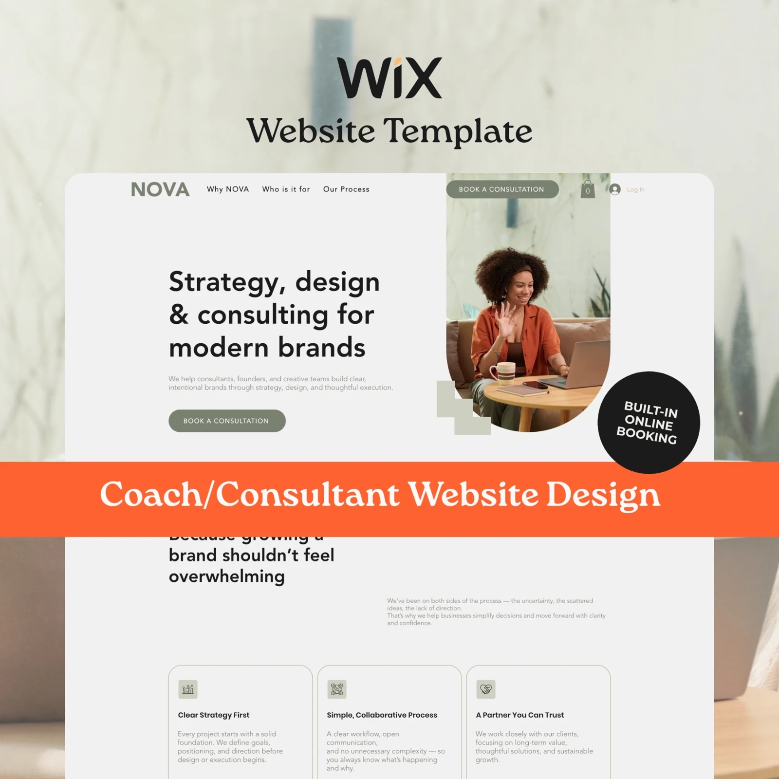 Consultant & Business Advisor Website